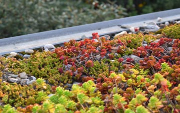 the cost of Rose Green green roof installation