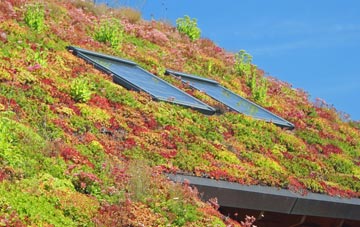 Rose Green living roof systems