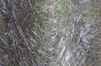 Rose Green fibreglass roof work